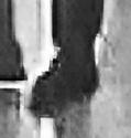SP shoe gallery 6.png
