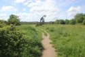 Dogwalking land.JPG