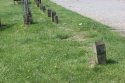 Missing stump.JPG