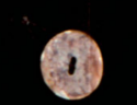 upload_2021-6-20_21-48-25.png