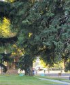20210824_071845_compress7.jpg