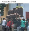 Poor couch.jpg