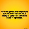 Your fingers.jpg