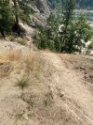 steep slope down east view from parking lot resize.jpeg