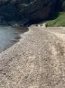 RB river bank resize .jpeg