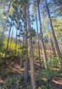 20210918_101802_compress44.jpg