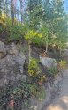 20210918_101725_compress66.jpg