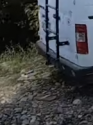 gabbyvan1.png