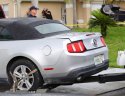 MUSTANG.JPG