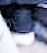 unknown2.jpg
