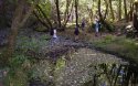 1-Armstrong Redwoods Hikers 1.jpg