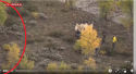 1 Yellow dude 1.png