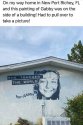 Painting.jpg