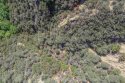 20181104_SearchScan1_538-Junk-r.jpg