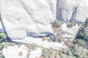 20181104_SearchScan1_768-Several-Items-r.jpg