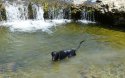 Bella cooling and hydrating.jpg