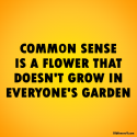 Common sense.png