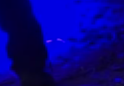 Screen shot 2.png