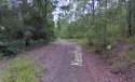 KendallForestRoad.jpg