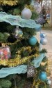 IMG_57261_compress12.jpg