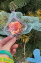 IMG_56941_compress39.jpg