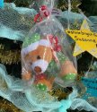 IMG_56991_compress54.jpg