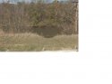 nevaeh site 1.JPG