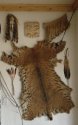 DSC02447.jpg