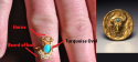gold ring.2.png
