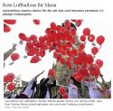 Red Balloons for Maria.jpg