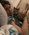 catKJ.png