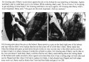 D1633DF5-BD57-4024-AEF1-A2F9B384C93E.jpeg