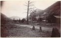 Arbourville.JPG