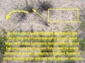San Tan theory.jpg