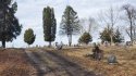 Cemetery.jpg