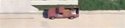 red truck 1L.jpg