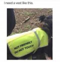 Not friendly.jpg
