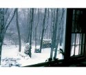 back yard low res.jpg