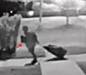 og_perp_still.png
