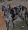 Ella.2.JPG