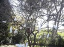 100_0227.jpg