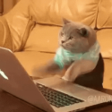 1654106477027.png