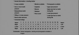 Mr Bones dental chart cropped.jpeg