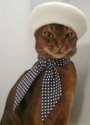 catberet.jpg