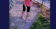 1662035794096.png