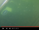 KRvid36.17-drive-front.png