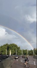 E2667576-E57F-48AB-B871-E05E29D24FE8.jpeg