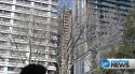 Witness-View1.jpg