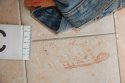 Guedesshoeprintsinblood__15_.jpg
