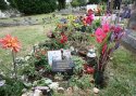 meredith grave.jpg